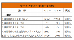 重磅！《人力資源和社會保障事業(yè)發(fā)展